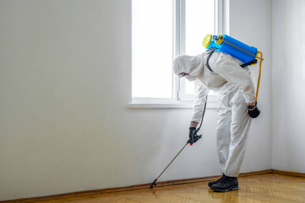 Pest Control for Restaurants in Newton, MS
