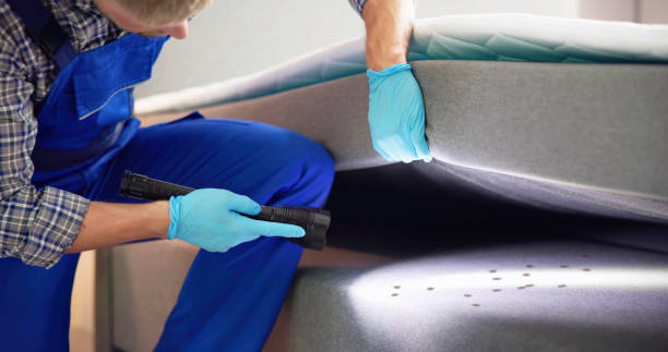 Best Termite Control Services  in Newton, MS