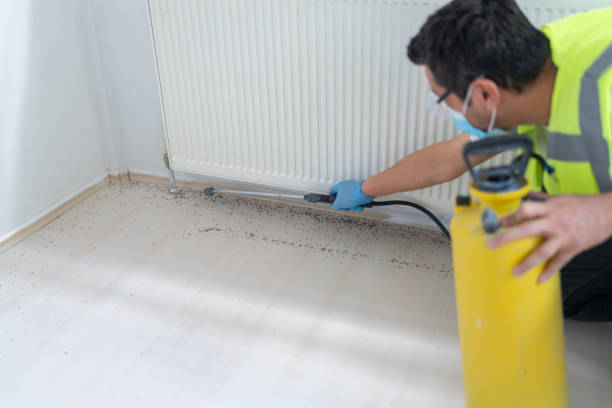 Best Commercial Pest Control Services  in Newton, MS